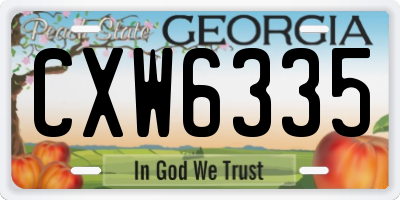 GA license plate CXW6335