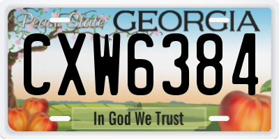 GA license plate CXW6384