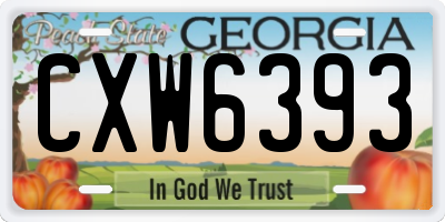 GA license plate CXW6393