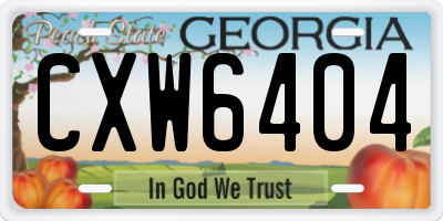 GA license plate CXW6404