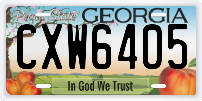 GA license plate CXW6405