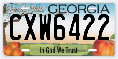 GA license plate CXW6422