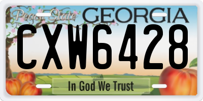 GA license plate CXW6428