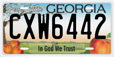 GA license plate CXW6442