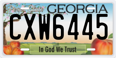 GA license plate CXW6445