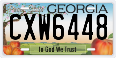 GA license plate CXW6448