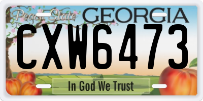 GA license plate CXW6473
