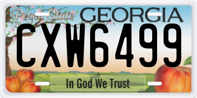 GA license plate CXW6499