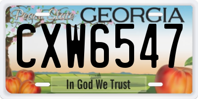 GA license plate CXW6547