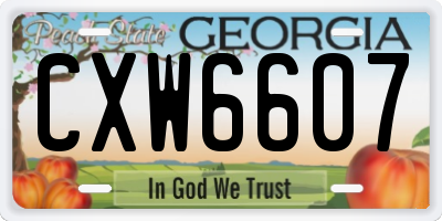 GA license plate CXW6607