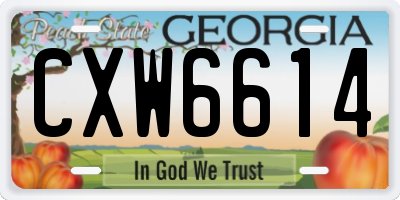 GA license plate CXW6614