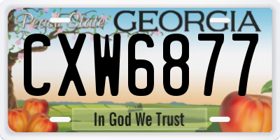 GA license plate CXW6877