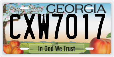 GA license plate CXW7017