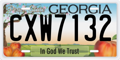GA license plate CXW7132