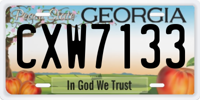 GA license plate CXW7133