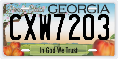 GA license plate CXW7203