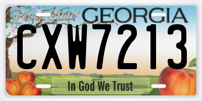 GA license plate CXW7213