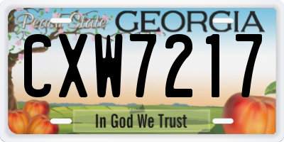 GA license plate CXW7217