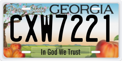 GA license plate CXW7221