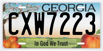 GA license plate CXW7223