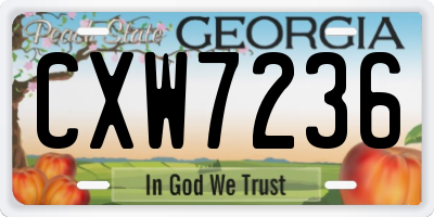GA license plate CXW7236
