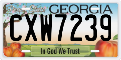GA license plate CXW7239