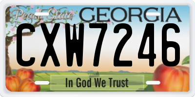 GA license plate CXW7246