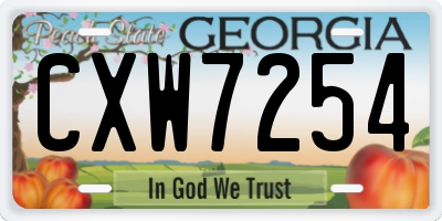 GA license plate CXW7254