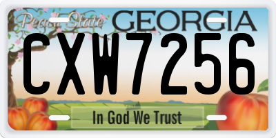 GA license plate CXW7256