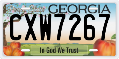 GA license plate CXW7267