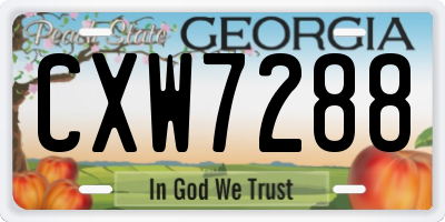 GA license plate CXW7288