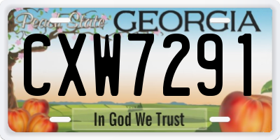 GA license plate CXW7291