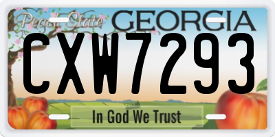 GA license plate CXW7293