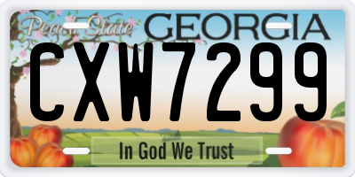 GA license plate CXW7299