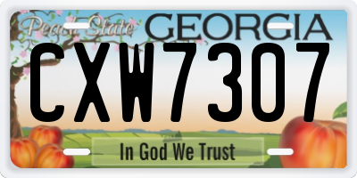 GA license plate CXW7307