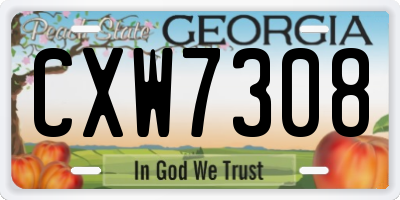 GA license plate CXW7308
