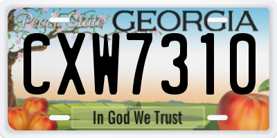 GA license plate CXW7310
