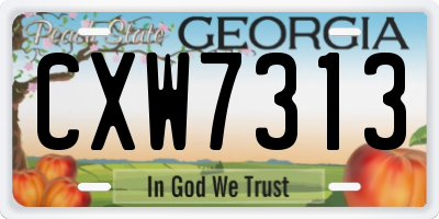 GA license plate CXW7313