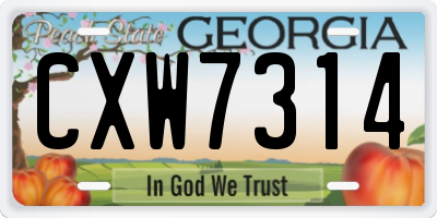 GA license plate CXW7314