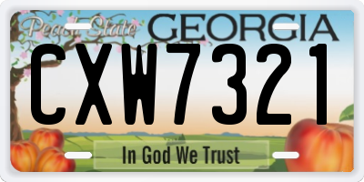 GA license plate CXW7321