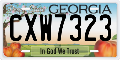 GA license plate CXW7323