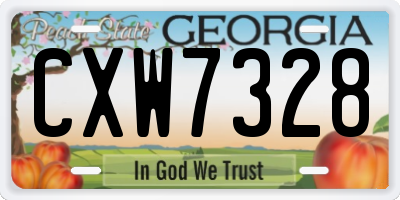 GA license plate CXW7328