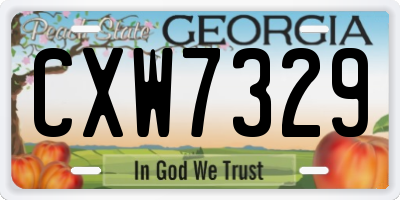 GA license plate CXW7329