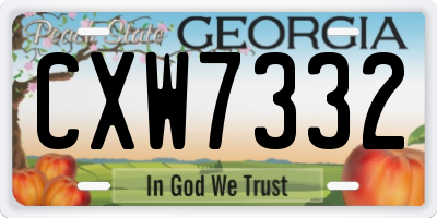 GA license plate CXW7332