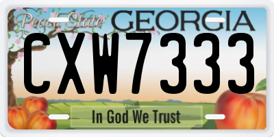 GA license plate CXW7333