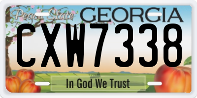 GA license plate CXW7338