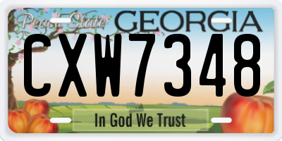 GA license plate CXW7348