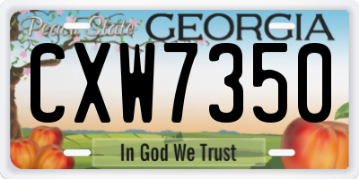 GA license plate CXW7350