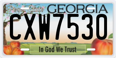 GA license plate CXW7530