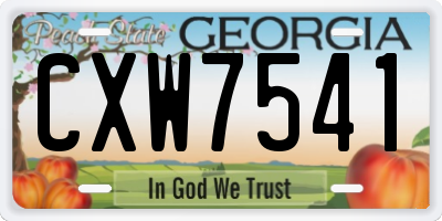 GA license plate CXW7541